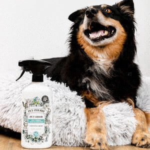 Pet~Pourri Pawsitively Fresh Air+Fabric Spray